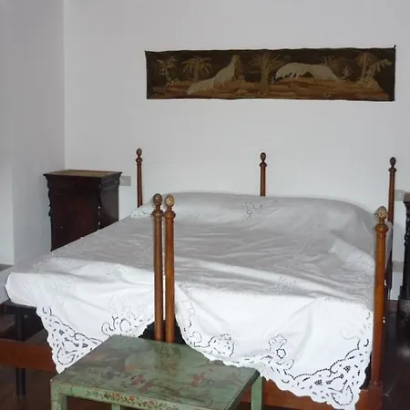 Il Leccio *